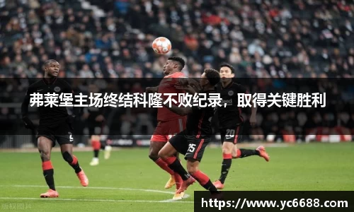 DB旗舰官网