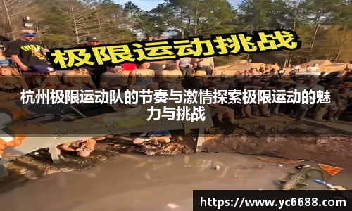 DB旗舰官网