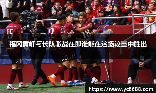 DB旗舰官网