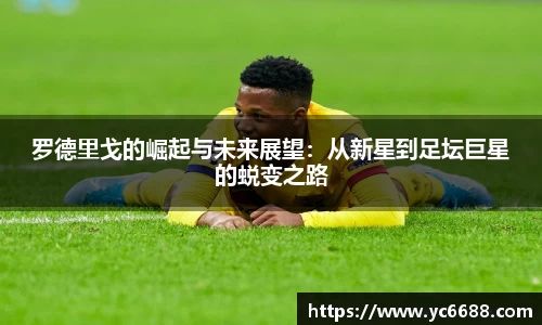 DB旗舰官网
