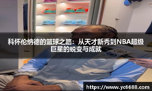 DB旗舰首页