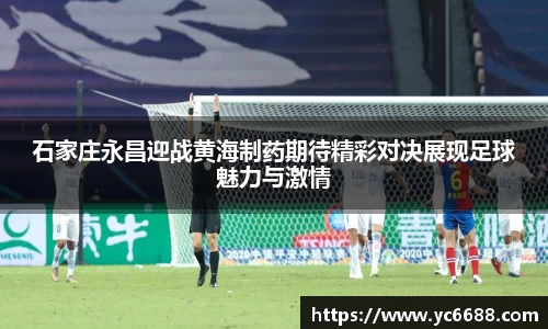 DB旗舰官网