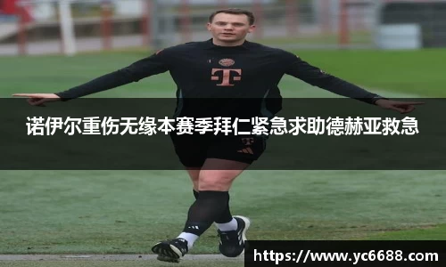 DB旗舰