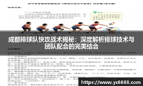 成都排球队快攻战术揭秘：深度解析排球技术与团队配合的完美结合